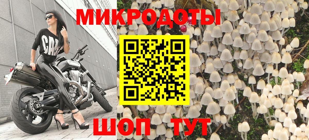 где можно купить   Галлюциногенные грибы мицелий  Вход с VPN  Грозный 